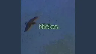 Niekas