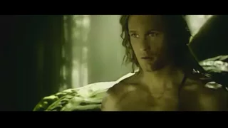 How did Tarzan meet Jane and he discoverd a new smell :)))))))