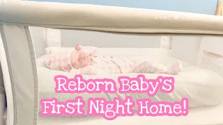 Reborn Baby’s First Night Home! Reborn Nursery Sneak Peek, Chatty, Nostalgic, Relaxing, Simple.