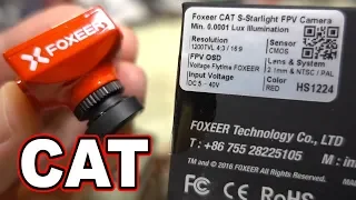 Foxeer CAT Starlight FPV Camera Review 📷