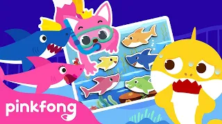 [BEST] Kartun anak anak paling populer di 2022 | Petak umpet & Cilukba | Pinkfong Baby Shark