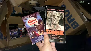 Best Dumpster Dive Ever! VHS Gold!!