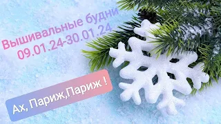 Вышивальные будни 09.01.24-30.01.24/Лукас/Финиш/Цветущий Париж/Dimensions/вышивка крестом