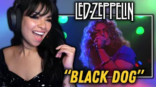 SEDUCED BY ZEPPELIN!? | Led Zeppelin - "Black Dog" FIRST TIME REACTION