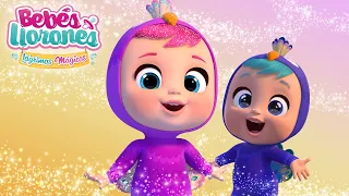 😱 ¡Los Bebés Llorones han ENCOGIDO! 😱 EPISODIO COMPLETO ✨ BEBÉS LLORONES 💧 LÁGRIMAS MÁGICAS 💕