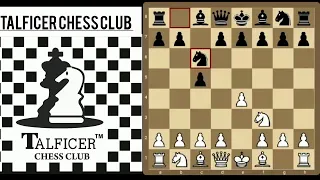 Bobby fisher beats samuel reshevsky in 10 moves😨😱#bobbyfishertrap#bobby’strap#chessbaseindia