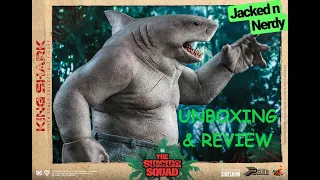 KING SHARK Sixth Scale Figure by Hot Toys Unboxing & Review - Jackednnerdy