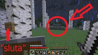 something's corrupting my world.. (herobrine encounter?)