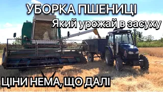 УБОРКА ПШЕНИЦІ🌾2022 іде повним ходом ЯКА УРОЖАЙНІСТЬ В ЗАСУХУ комбайн Fortschritt трактор ДТЗ 5504К