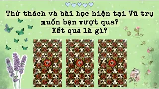 Thử thách và bài học hiện tại Vũ trụ muốn bạn vượt qua? Kết quả sẽ ra sao? | Trang the Sirian