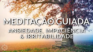 MEDITAÇÃO GUIADA: LIVRE-SE DA ANSIEDADE, IMPACIÊNCIA E IRRITABILIDADE