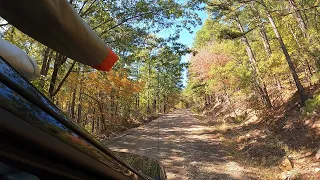 4K Video Fall Flying  11/1/22  Buffalo Mountain