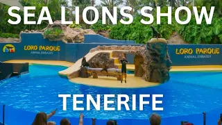 Full Sea Lions Show At Loro Parque 4K | Tenerife