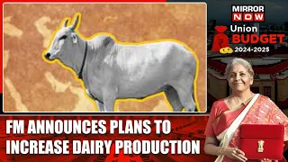 Budget 2024 Speech Updates: FM Sitharaman Announces Plans To Increase Milk, Dairy Production