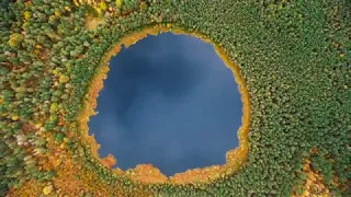 Осень на Мёртвом озере. Светлогорский район. Октябрь 2018г.