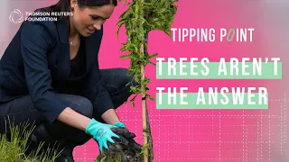 Why planting trees won’t fix climate change