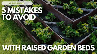 5 Mistakes To Avoid With Raised Garden Beds