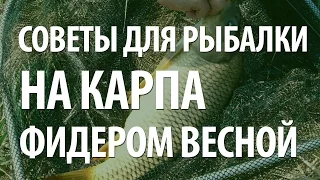 КАК ЛОВИТЬ КАРПА на ФИДЕР ВЕСНОЙ. КАРПОВАЯ ВЕСЕННЯЯ РЫБАЛКА на ПЛАТНИКЕ