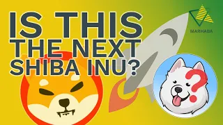 What's the Next Shiba Inu? Next BIG Meme Coin?