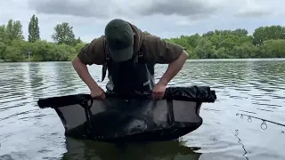 Floppy Tail @ 48lb 1oz