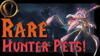 Top 5 RAREST Hunter Pets and why YOU should get them!