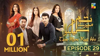 Tum Mere Kya Ho - Episode 29 - 20th May 2024  [ Adnan Raza Mir & Ameema Saleem ] - HUM TV