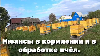 Нюансы в кормлении и в обработке пчёл.