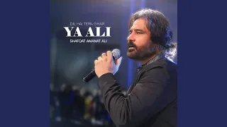 Dil Hai Tera Ghar Ya Ali