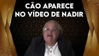 CÃO APARECE em vídeo da PASTORA NANÁ