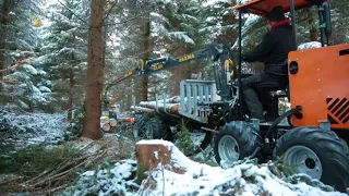 DIY Forestry In Finland - Logbullet Forwarding After Chainsaw