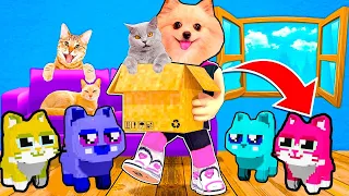 СПАСАЮ МАЛЕНЬКИХ КОТЯТ В РОБЛОКС ! Play Cats ROBLOX