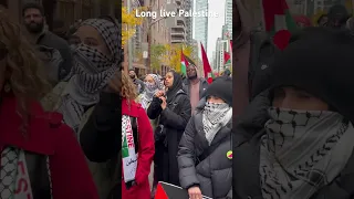 Shame on humanity, long live palestine #palestine #toronto #protest