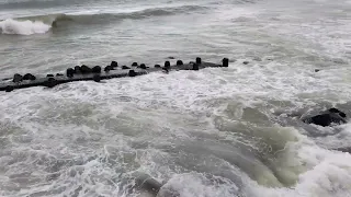 Wellenrauschen & weiße Strände in und um Nah Trang / Vietnam