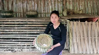 Harvesting Bamboo shoots, making dried bamboo shoots & knitting baskets for Chickens to Lay Eggs