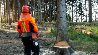 Professional lumberjack, Little HARVESTOR!