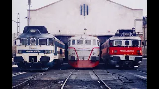 Rosario Talguero. Las Vírgenes y sus Locomotoras.