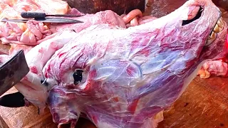 Amazing Cow Head Cutting and Cleaning ।। How to Cut Cow Head ।। Full Cow Head cutting ।।