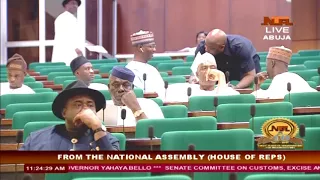 Plenary Session House of Reps 01/03/2017