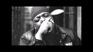 [FREE] Notorious B.I.G. X Nas X Big L | Hardcore Boom Bap Type Beat 2024 - "Smokin Trees"