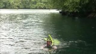 Jellyfish Lake, Palau Rock Island by Asiatravel.com