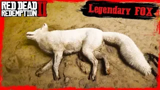 RDR2 Hunting Legendary FOX / hunting and skinning legendary animals first person Gameplay