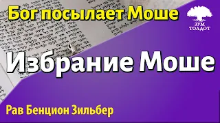 Избрание Моше. Рав Бенцион Зильбер