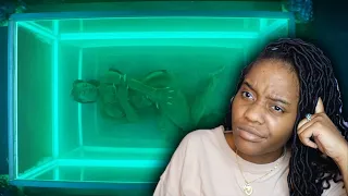 *PROTECT HER AR ALL COSTS MAN* Megan Thee Stallion - Cobra [Official Video] | REACTION