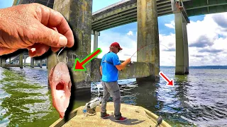 Catch Catfish EASY With THIS Technique!!!