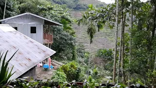 View out of the window of my room - Batad - Philippines