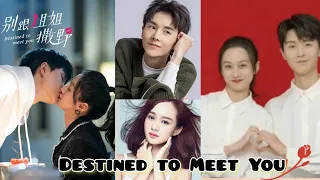 Destined to Meet You (2022) - Romance Drama ❤️ Cdrama