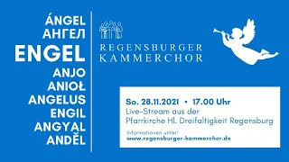 Regensburger Kammerchor ENGEL | LIVE aus der Pfarrkirche Hl. Dreifaltigkeit Regensburg
