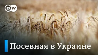 Посевная на юге Украине: из-за войны голод может затронуть 100 млн человек в мире