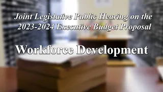 Workforce Development - New York State Budget Public Hearing