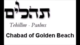 Psalm 119 (Tehillim 119)